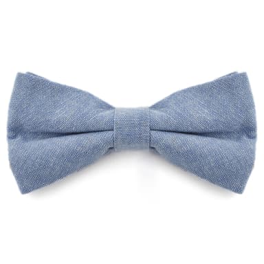 Blassblaue Fliege Blassblaue Fliege