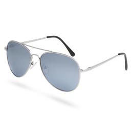 Silver-Tone & Smoke Grey Aviator Sunglasses