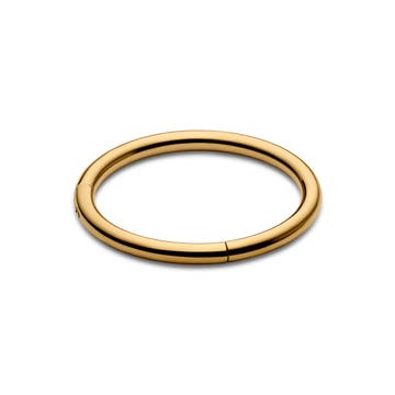 6 mm Gulltonet Piercing Ring av Titan