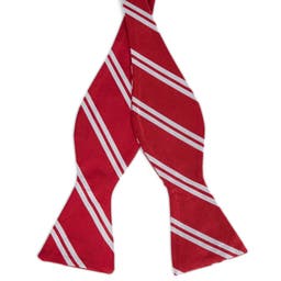 Silver-Tone Twin Stripe Red Silk Self-Tie Bow Tie