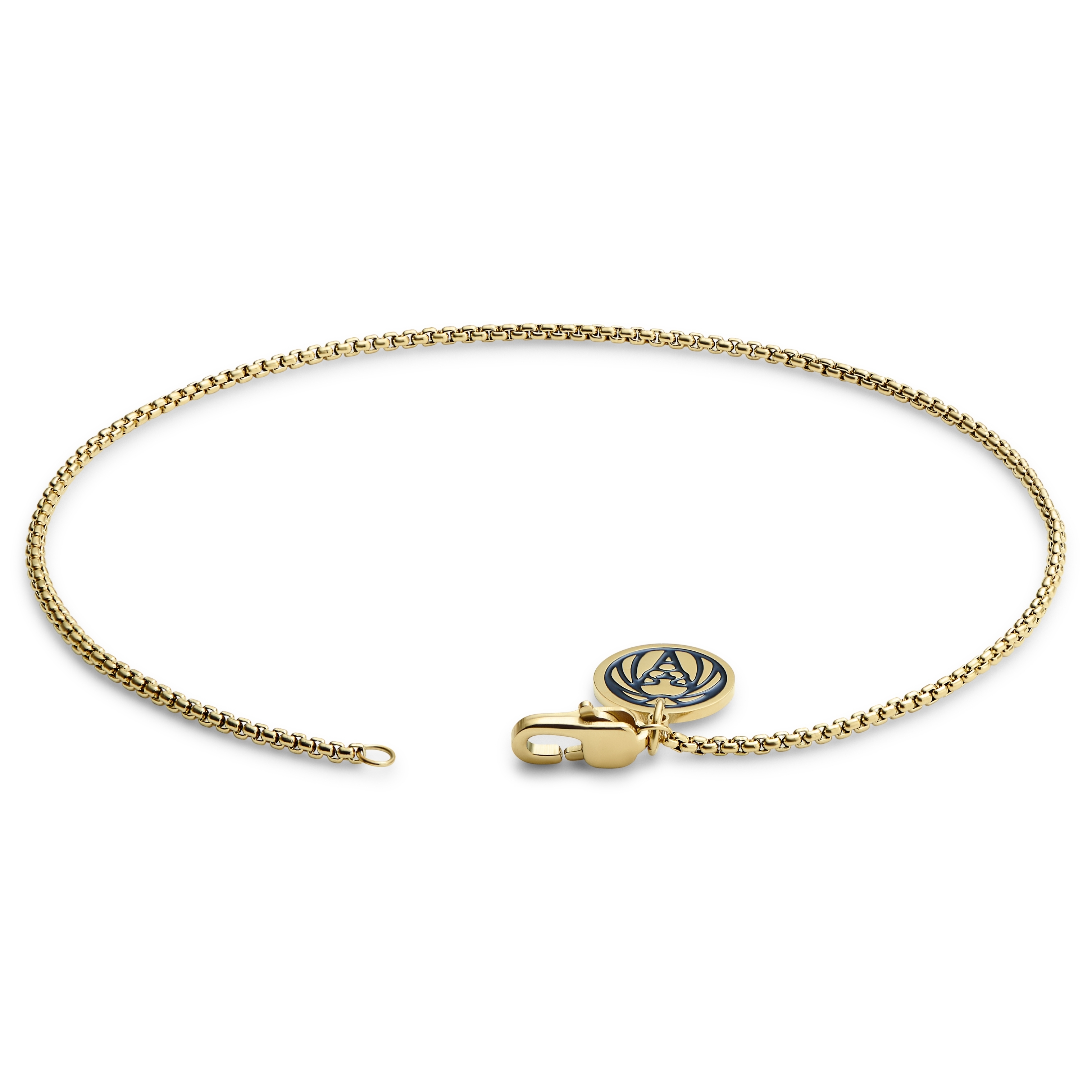 Alex and ani hot sale anchor pull chain bracelet