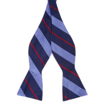 Noeud papillon en soie bleu marine à rayures bleu pastel et rouges Noeud papillon en soie bleu marine à rayures bleu pastel et rouges