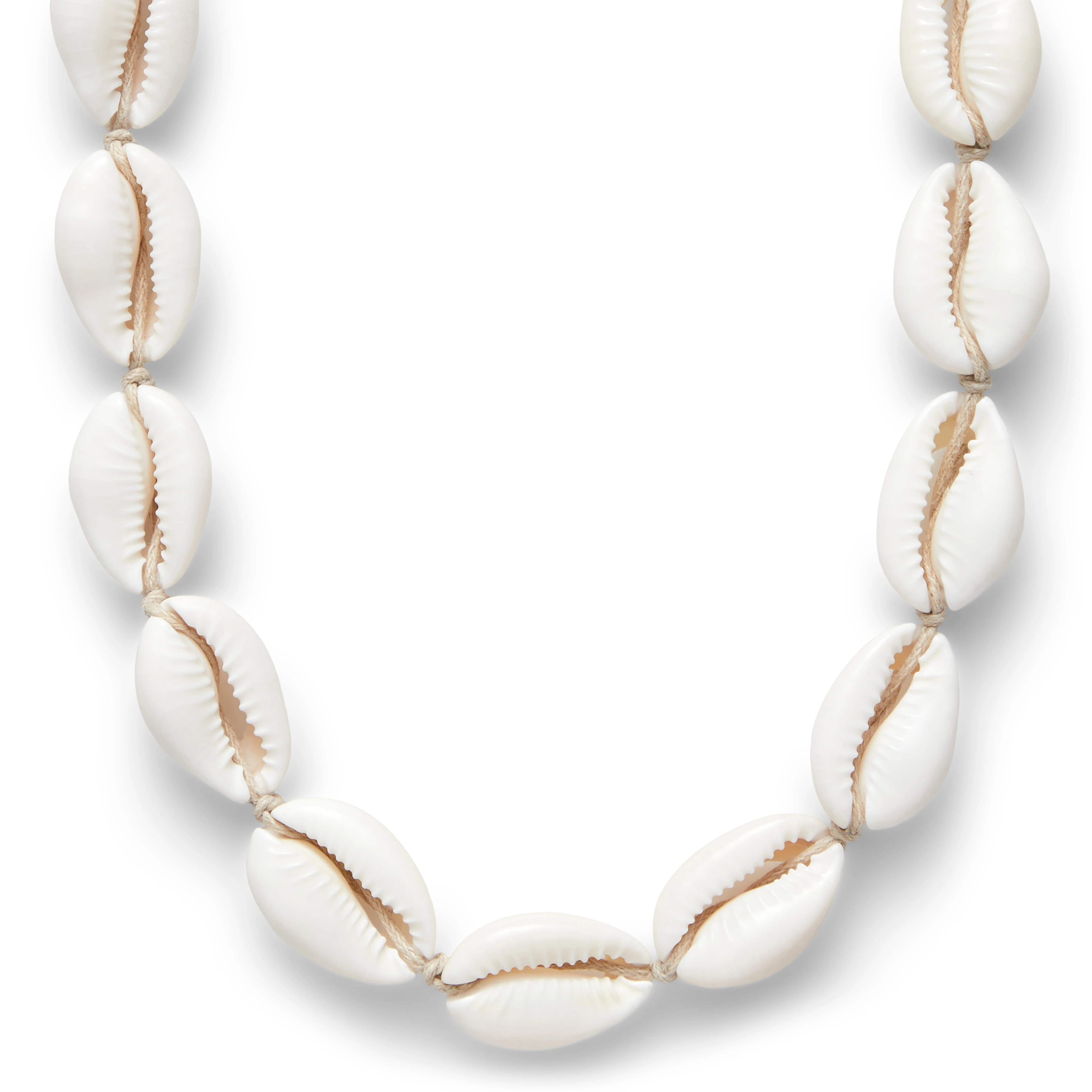 Cowrie | Reef kriauklių vėrinys su šviesiai ruda virvele Cowrie | Reef kriauklių vėrinys su šviesiai ruda virvele