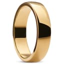 Ferrum | 6 mm Polert Gulltonet D-Formet Ring i Rustfritt Stål Ferrum | 6 mm Polert Gulltonet D-Formet Ring i Rustfritt Stål
