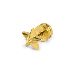 Pendiente dorado de estrella de 6 mm