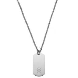 Zodiac | Silver-Tone Stainless Steel Pisces Star Sign Dog Tag Cable Chain Necklace
