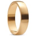 Ferrum | 6 mm goldfarbener D-förmiger Ring aus gebürstetem Edelstahl Ferrum | 6 mm goldfarbener D-förmiger Ring aus gebürstetem Edelstahl