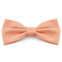 Salmon Pink Basic Pre-Tied Bow Tie Salmon Pink Basic Pre-Tied Bow Tie