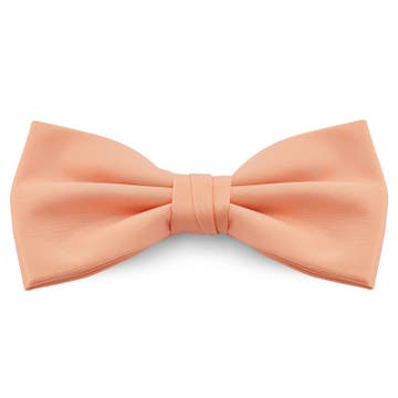 Noeud papillon classique rose saumon Noeud papillon classique rose saumon