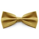 Golden Shiny Basic Pre-Tied Bow Tie Golden Shiny Basic Pre-Tied Bow Tie