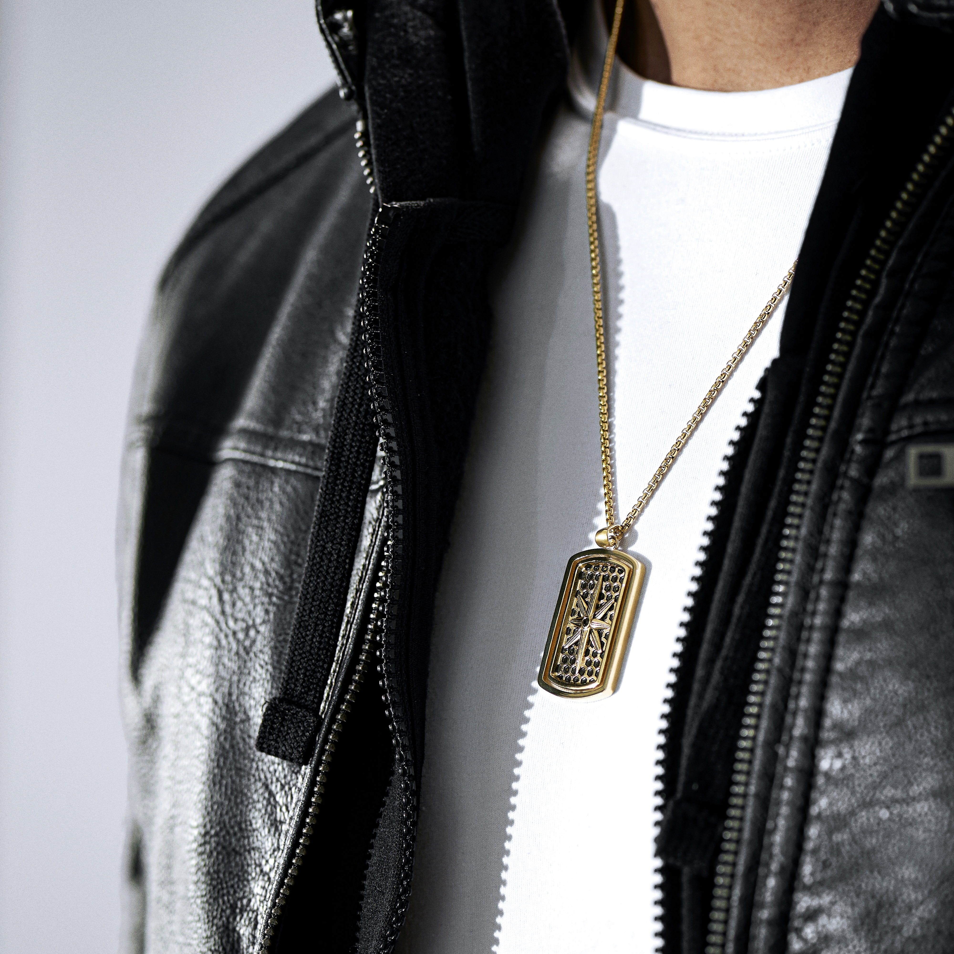 Icarus Kayden Goudkleurige Dogtagketting - 4