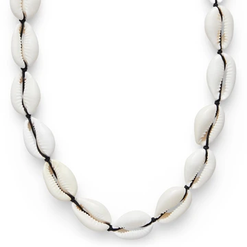 Cowrie | Reef kestaga kaelakee musta nööriga Cowrie | Reef kestaga kaelakee musta nööriga