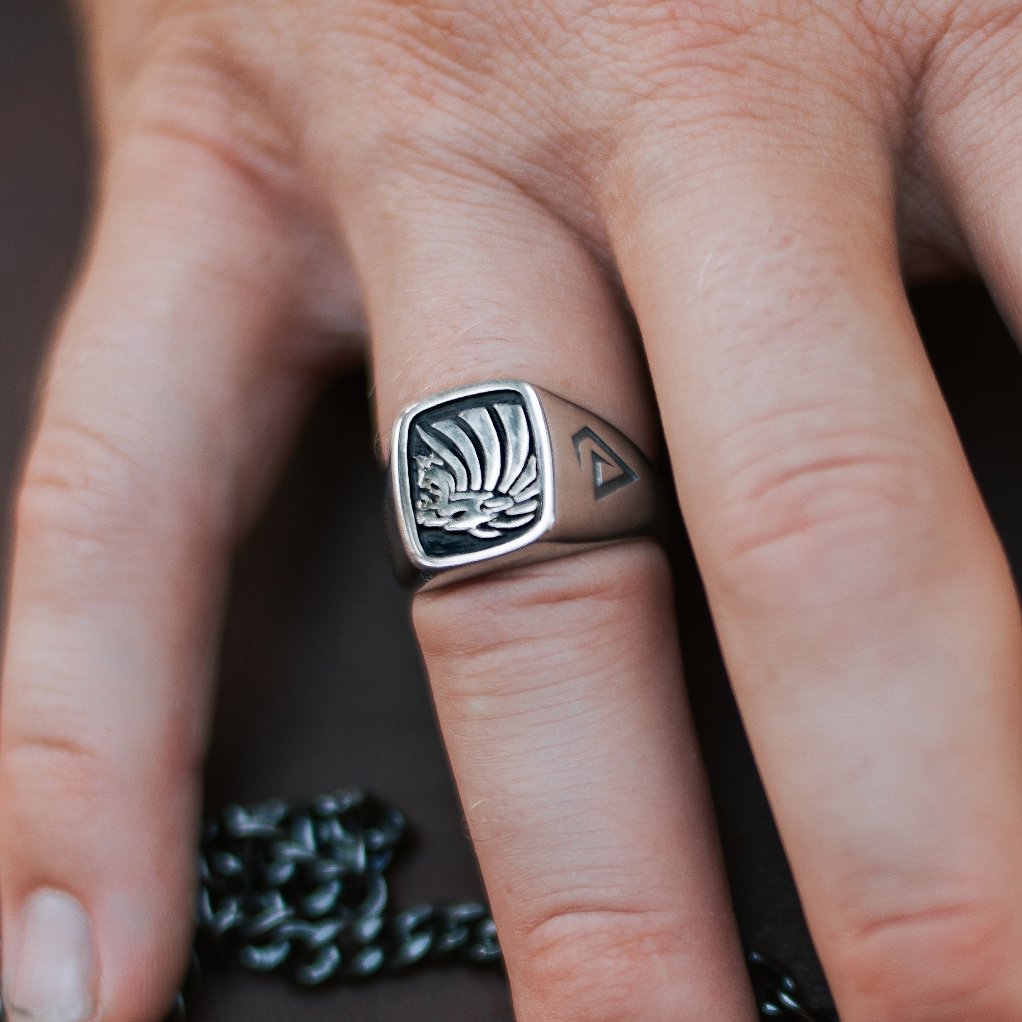 Löwe Tribut 925er Silberring  - 4