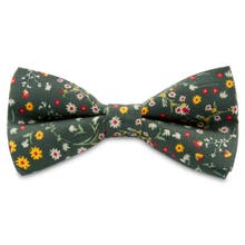 Green pre tied bow ties