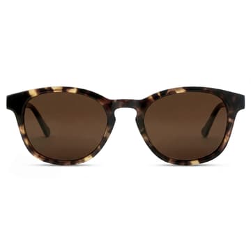 Classic | Brown Panto Sunglasses with Tortoise Frame Classic | Brown Panto Sunglasses with Tortoise Frame