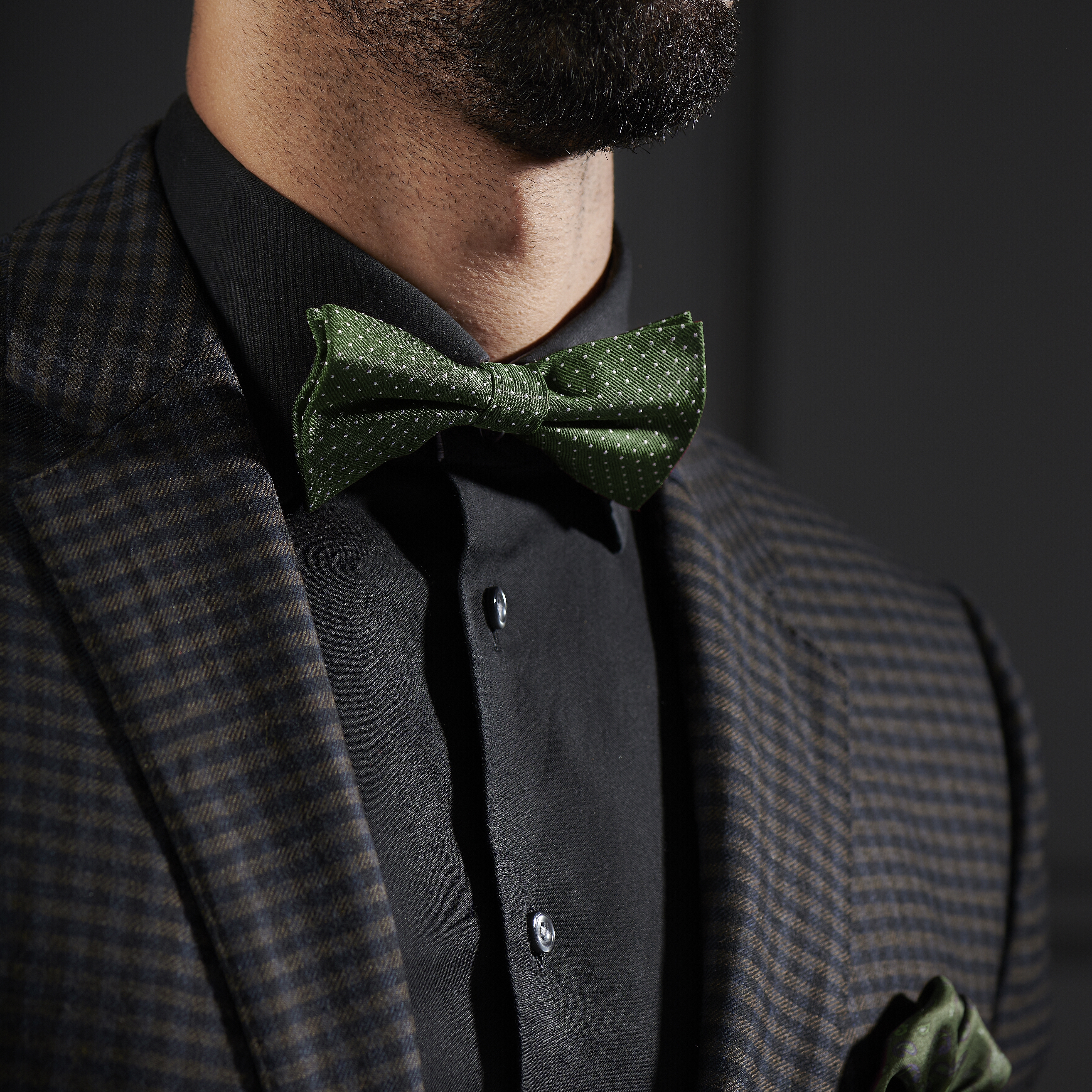 Grüne Gepunktete Seidenfliege - 3