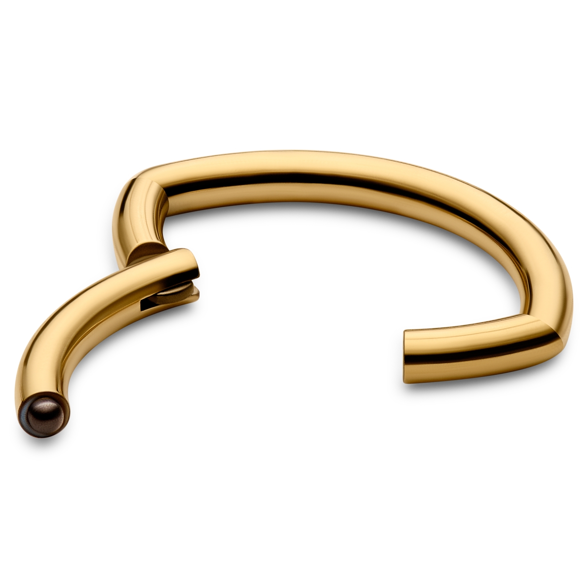 8 mm Guldfarvet Titanium Oval Piercing Ring - 2