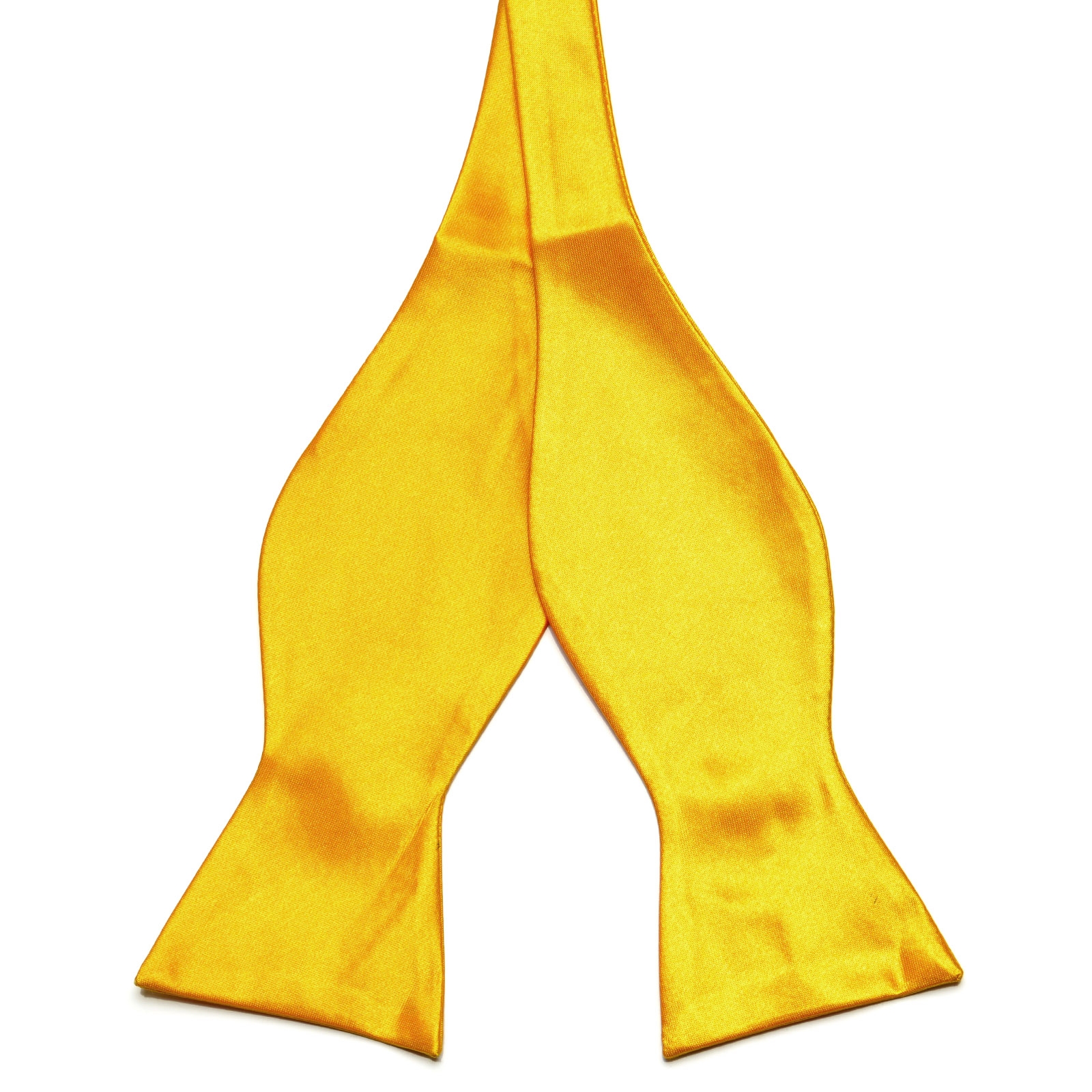 Papillon da annodare giallo - 1