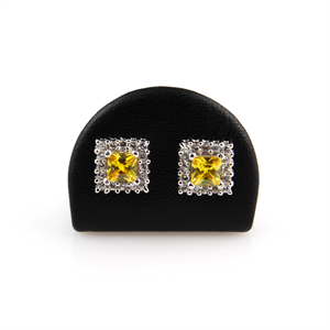 Guld Midte Bling Øreringe - 1