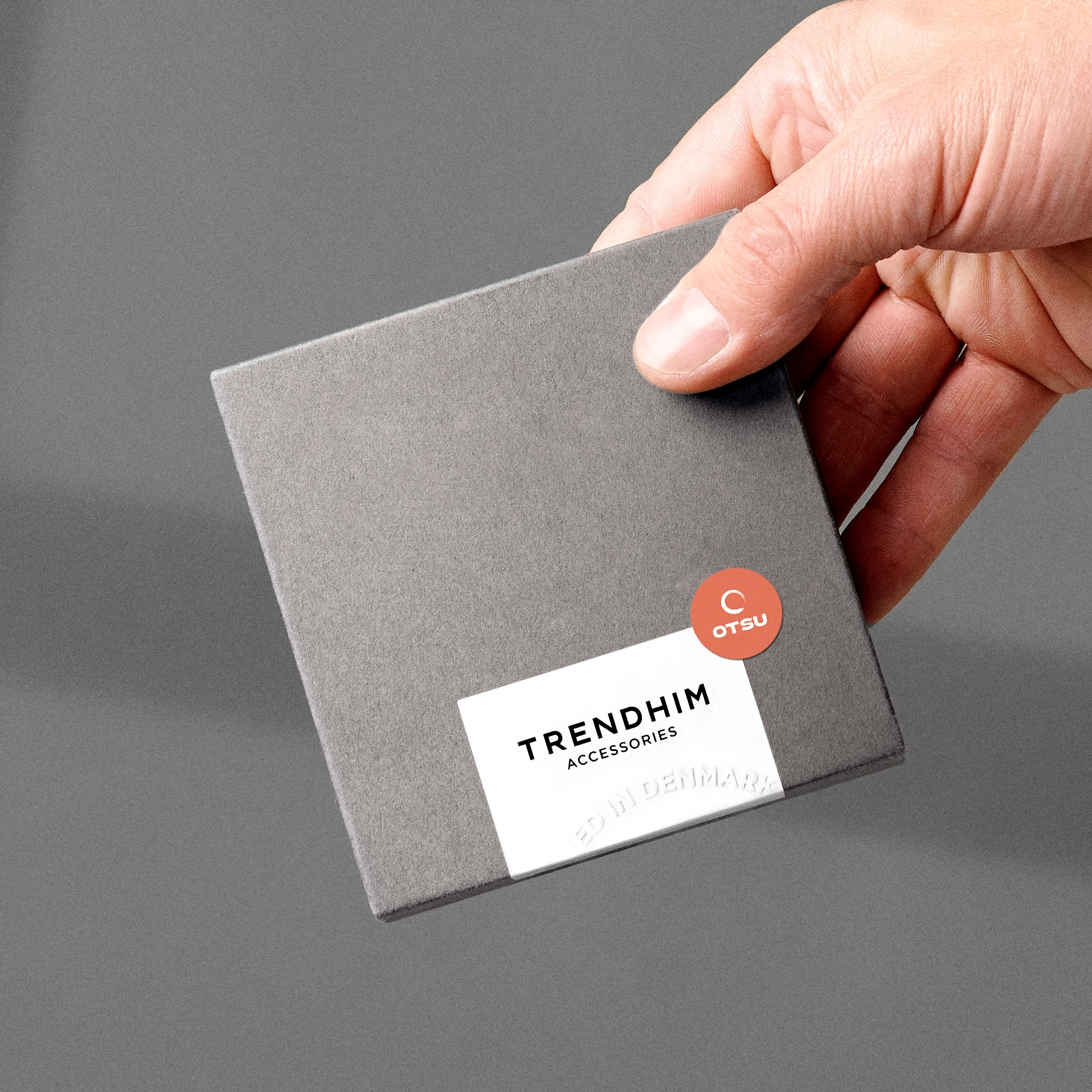 Nicos | 12 mm hopeanvärinen umpinainen panssariketju zirkoniakivillä - 5