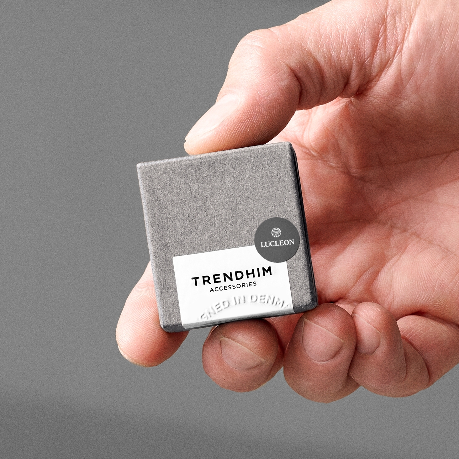 Ferrum | 6 mm Γυαλισμένη Ασημί Ατσάλινη Step Βέρα - 6