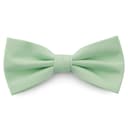 Mint Green Basic Pre-Tied Bow Tie Mint Green Basic Pre-Tied Bow Tie