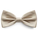 Blank Champagnefarget Basic Tversoversløyfe Blank Champagnefarget Basic Tversoversløyfe
