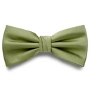 Light Green Pre-Tied Grosgrain Bow Tie Light Green Pre-Tied Grosgrain Bow Tie