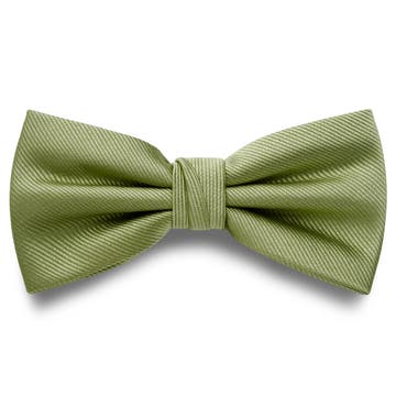 Hellgrüne vorgebundene Fliege aus Grosgrain Hellgrüne vorgebundene Fliege aus Grosgrain