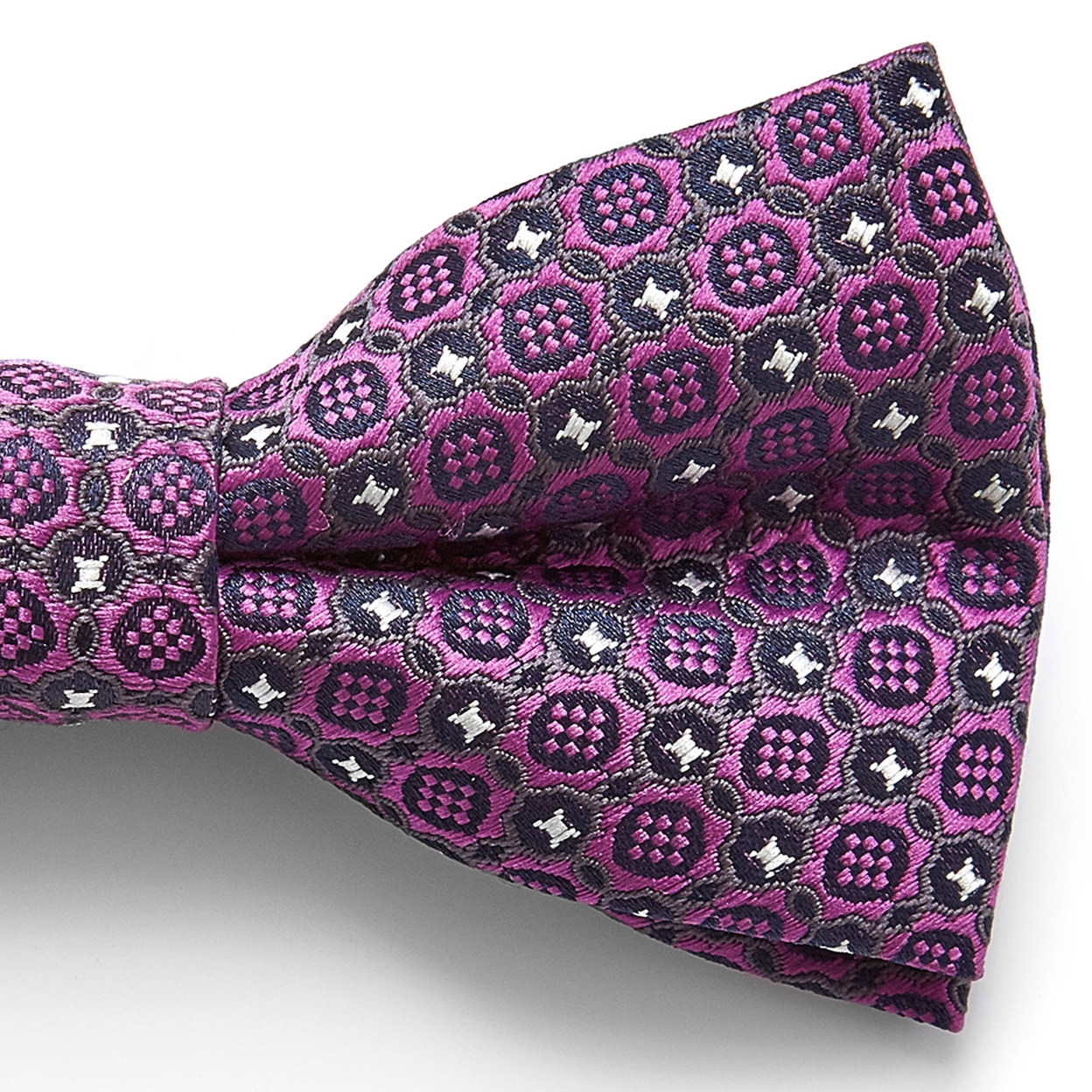 Papillon color porpora reale - 2