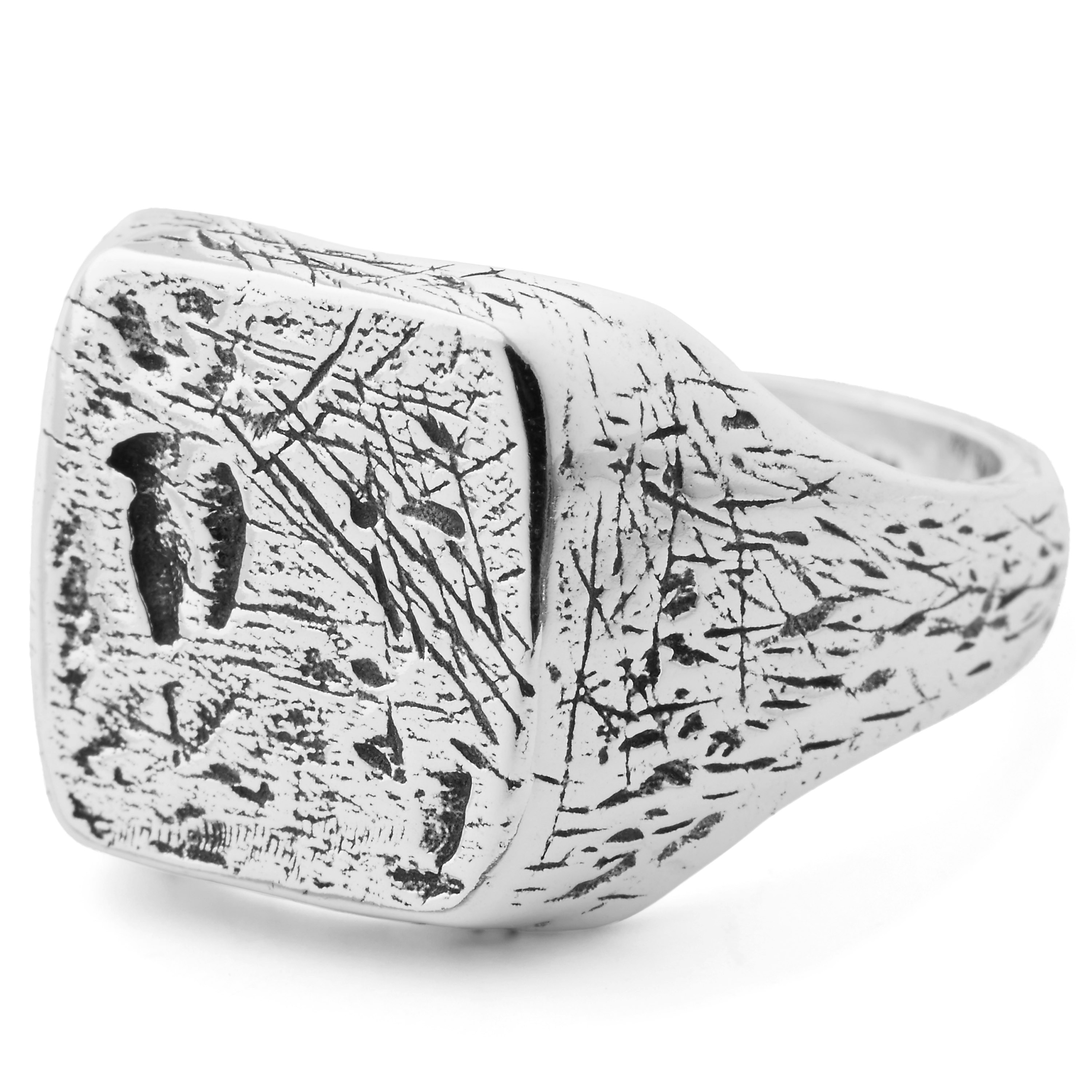 925 prabos sidabrinis žiedas „Django“