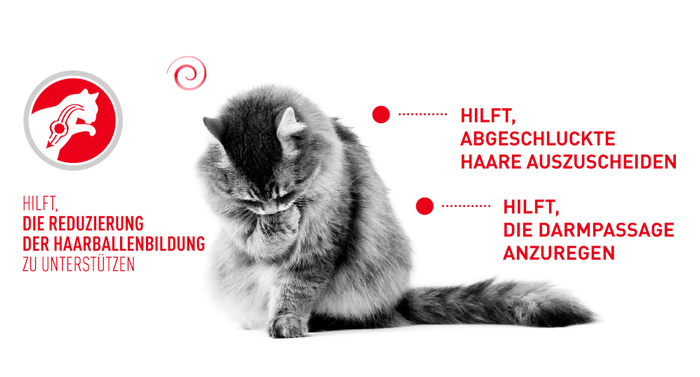 RoyalCanin_FCN_Hairball_Care_Dry_haarballbildung.jpg
