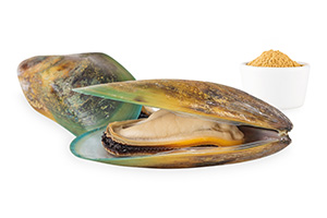 greenlippedmussel_220401-78853FU49JLer4Jwoe.jpg