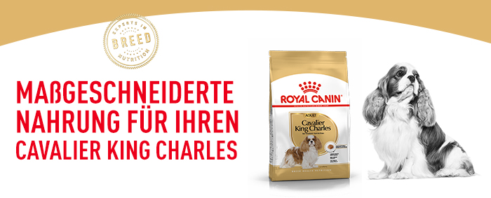 royal_canin_cavalier_king_charles_massgeschneiderte_nahrung.jpg