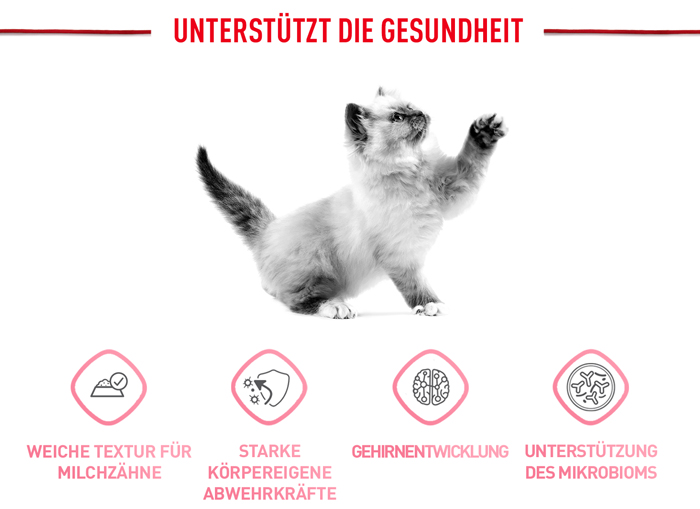royal_canin_start_of_life_kitten_loaf_unterstuetzt_die_gesundheit_web.jpg