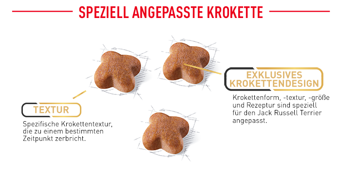 RoyalCanin_BHN_Jack_Russell_angepasste_krokette.png