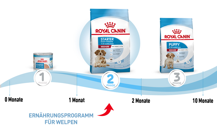 royal_canin_shn_hund_medium_starter_ernaehrungsprogramm_web.jpg