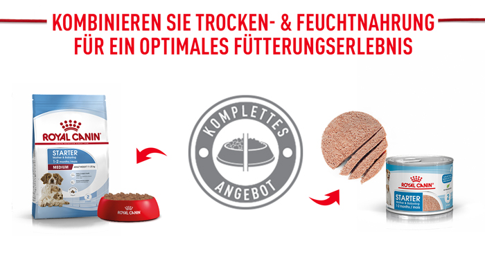 royal_canin_shn_hund_medium_starter_mischfuetterung_web.jpg
