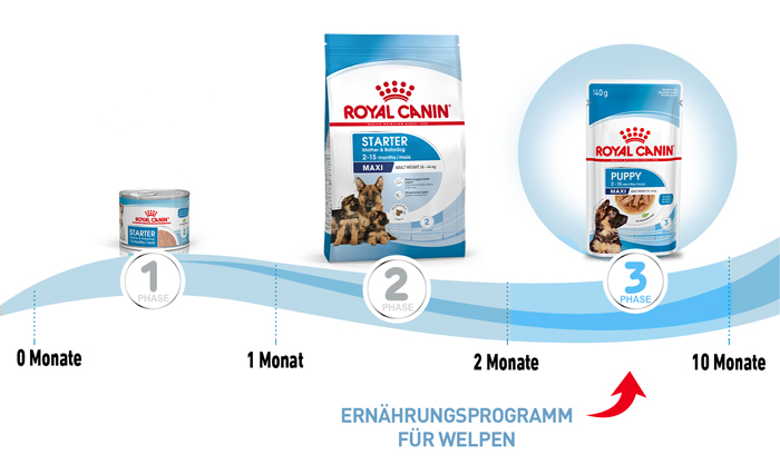 royal_canin_shn_hund_maxi_puppy_chunks_gravy_sauce_ernaehrungsprogramm_web.jpg