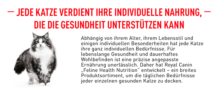 royal_canin_fhn_indoor_long_hair_individuelle_nahrung_web.jpg