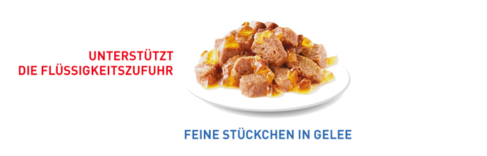RoyalCanin_FCN_Light_Weight_Care_Jelly_stueckchen_in_gelee.jpg