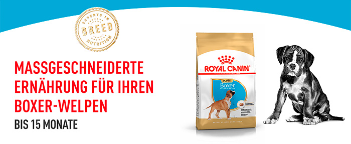 royal-canin-boxer-puppy-module-1g423ct7m6d0PG.jpg