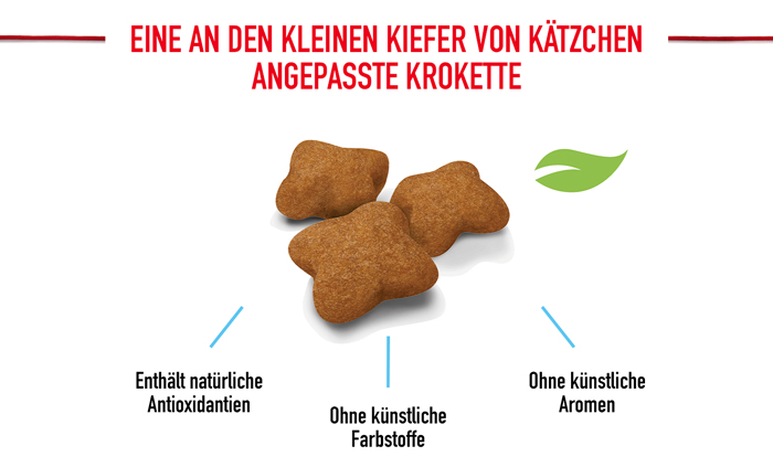 royal_canin_fhn_kitten_sterilised_angepasste_krokette_web.jpg