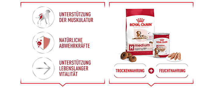 shn-medium-wet-ageing-loaf-de-module-3.jpg