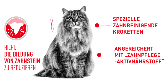 RoyalCanin_FCN_Dental_Care_Dry_zahnstein.jpg