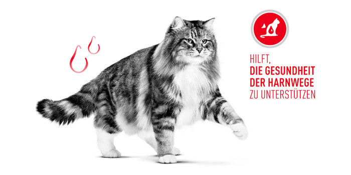 RoyalCanin_FCN_Urinary_Care_Gravy_gesunde_harnwege.jpg
