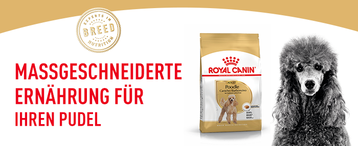 RoyalCanin_BHN_Poodle_Dry_massgeschneidert.png
