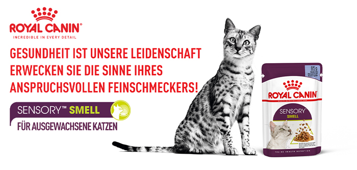 royal_canin_fhn_sensory_wet_nass_smell_jelly_gelee_erwecke_die_sinne_web.jpg