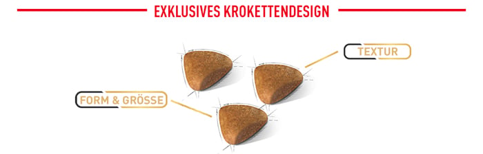royal_canin_CAT_adult_sphynx_exklusives_krokettendesign_web_2.jpg