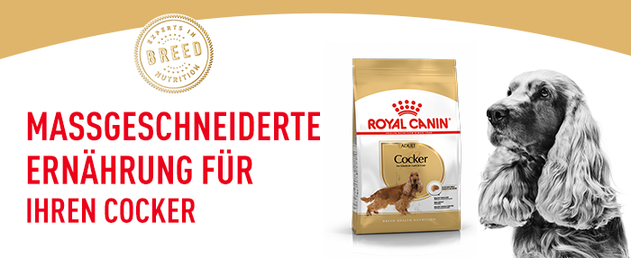RoyalCanin_BHN_Cocker_massgeschneidert.png